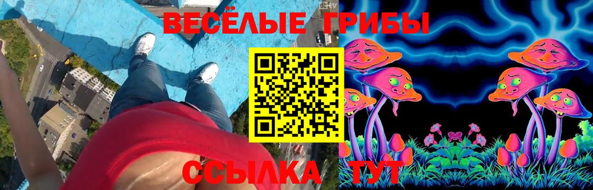 Галлюциногенные грибы прущие грибы Аксай